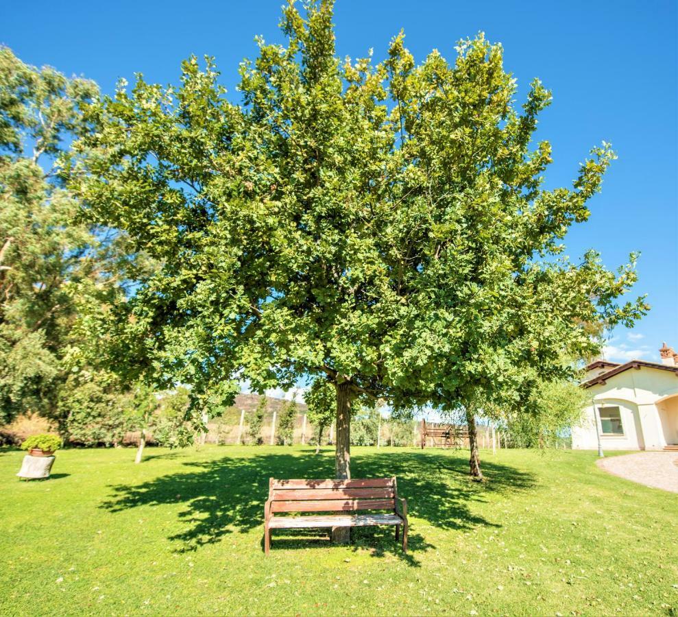 Villa Gli Eucalipti Cerveteri Εξωτερικό φωτογραφία
