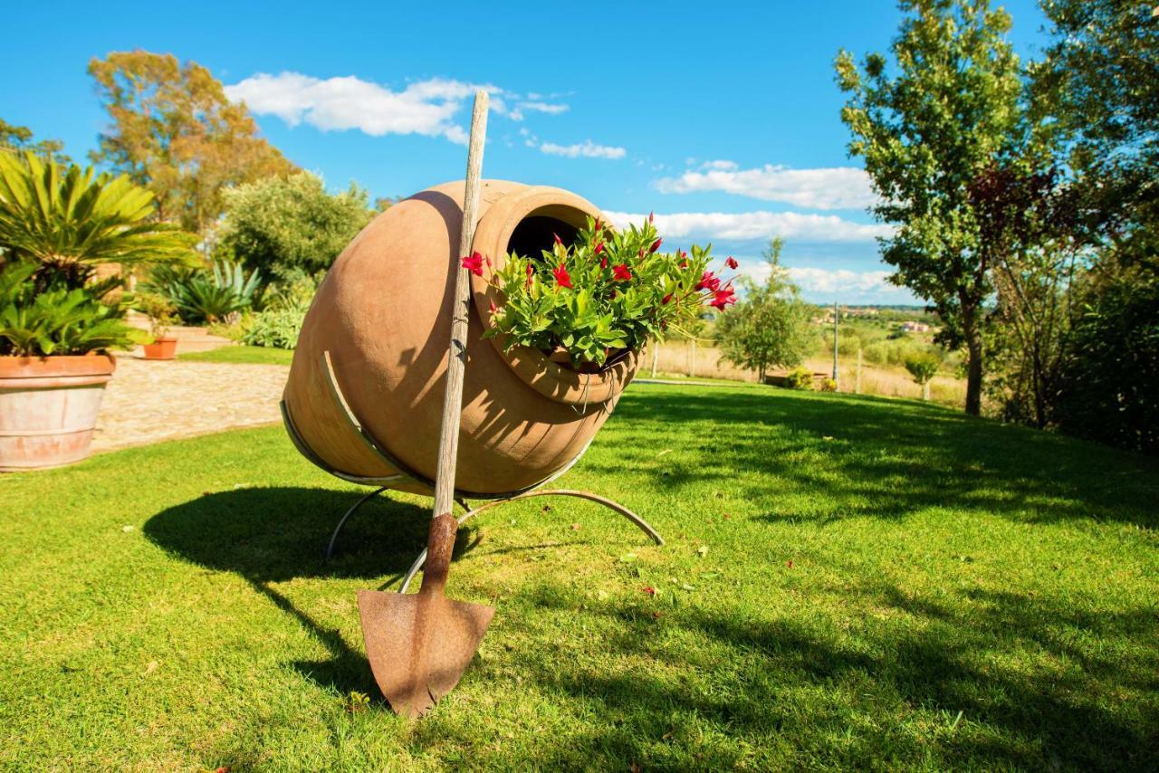 Villa Gli Eucalipti Cerveteri Εξωτερικό φωτογραφία
