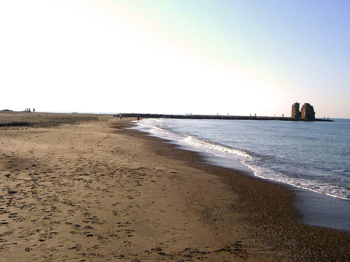 Villa Gli Eucalipti Cerveteri Εξωτερικό φωτογραφία